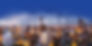 EIPGRID case studies