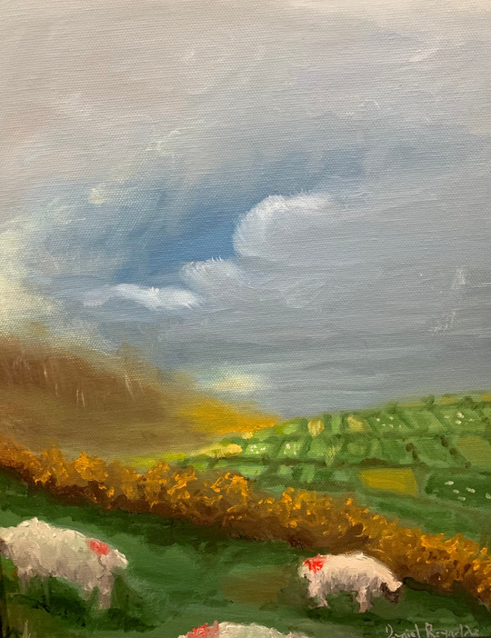 Daniel Reynolds “Dingle Sheep” oil $475