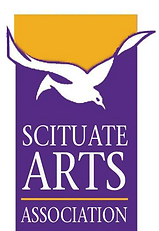 saslogo.png