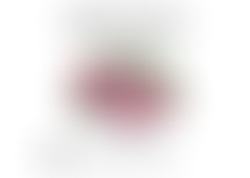 Grand Prix à Toutouville