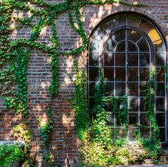 Diversifying Society’s Leaders? The Determinants and Causal Effects of College Admissions 