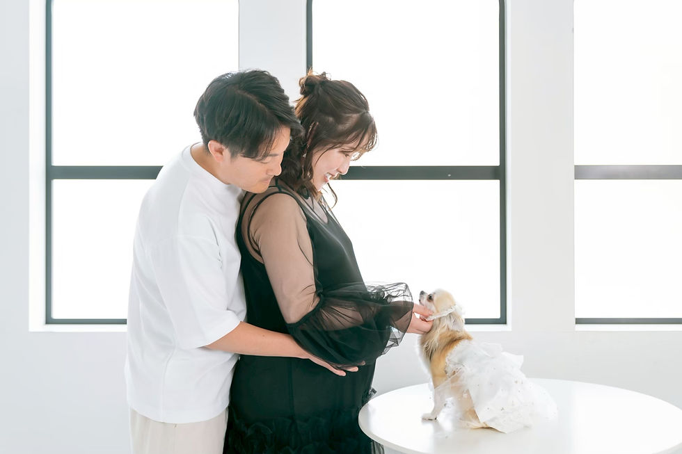 マタニティフォト×ペット|大阪で叶える家族みんなのやさしい記念写真