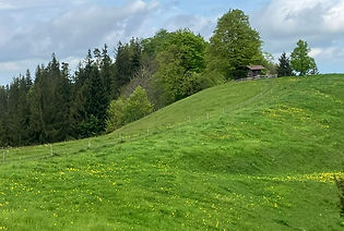 PHOTO-2025-05-04-16-43-42 (3).jpg