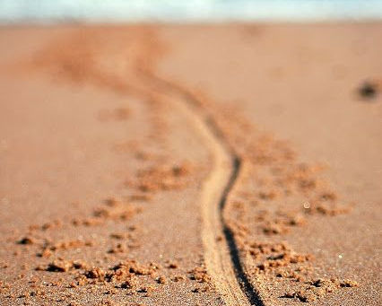 Putting a line in the sand...