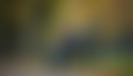 When Gifted Minds Feel Anxiety: Strategies for Support and Understanding