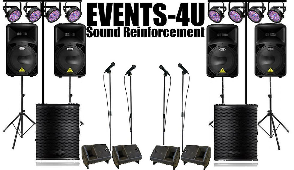 E4U Sound rein w lites.JPG