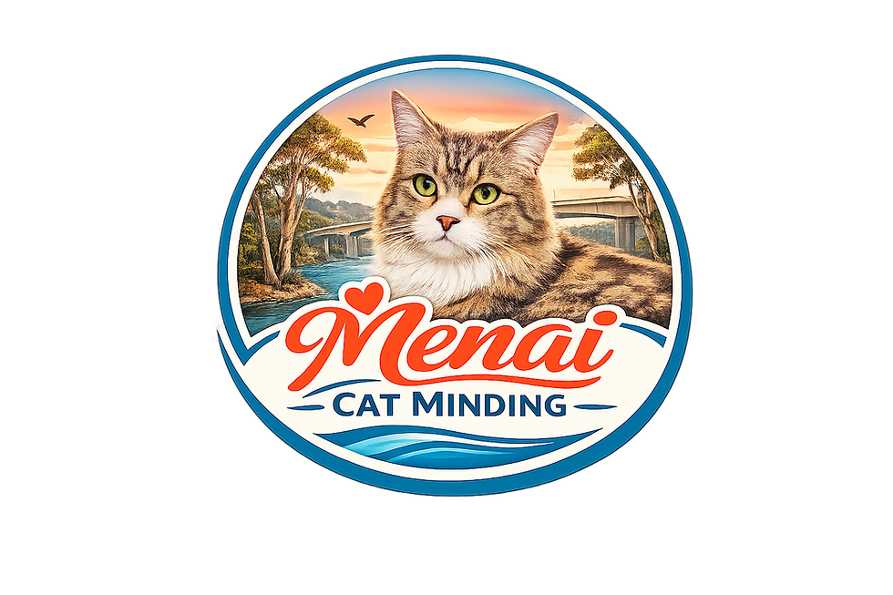 Menai Cat Minding Logo