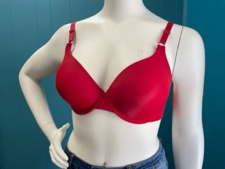 Thumbnail: DD Full Coverage Bra by Youmita