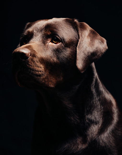 les terres du Haumont