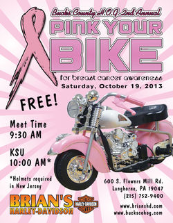 Pink Your Bike flyer (8.5" x 11")