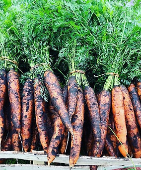 thumbnail_image2 (3).jpg