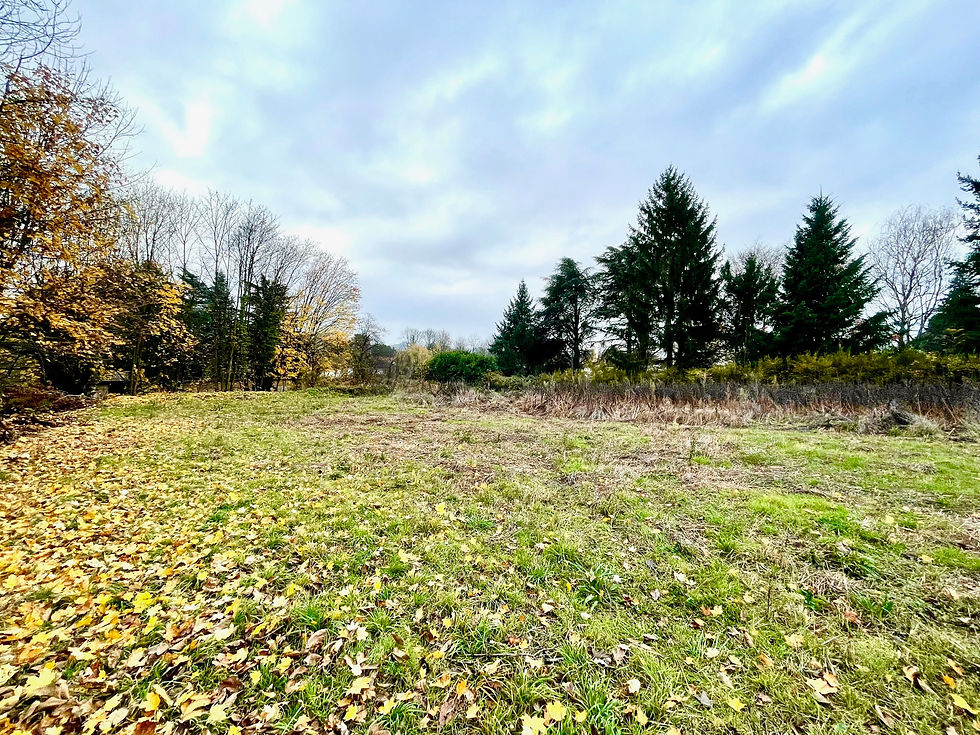 Saint-Cyr-au-Mont-d'Or (69)