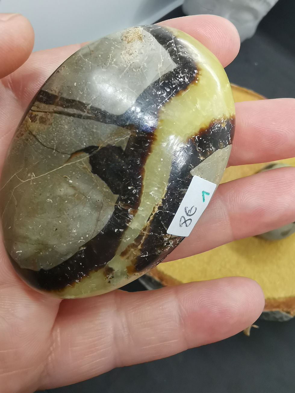 Miniature : Galets Septaria A à 8€