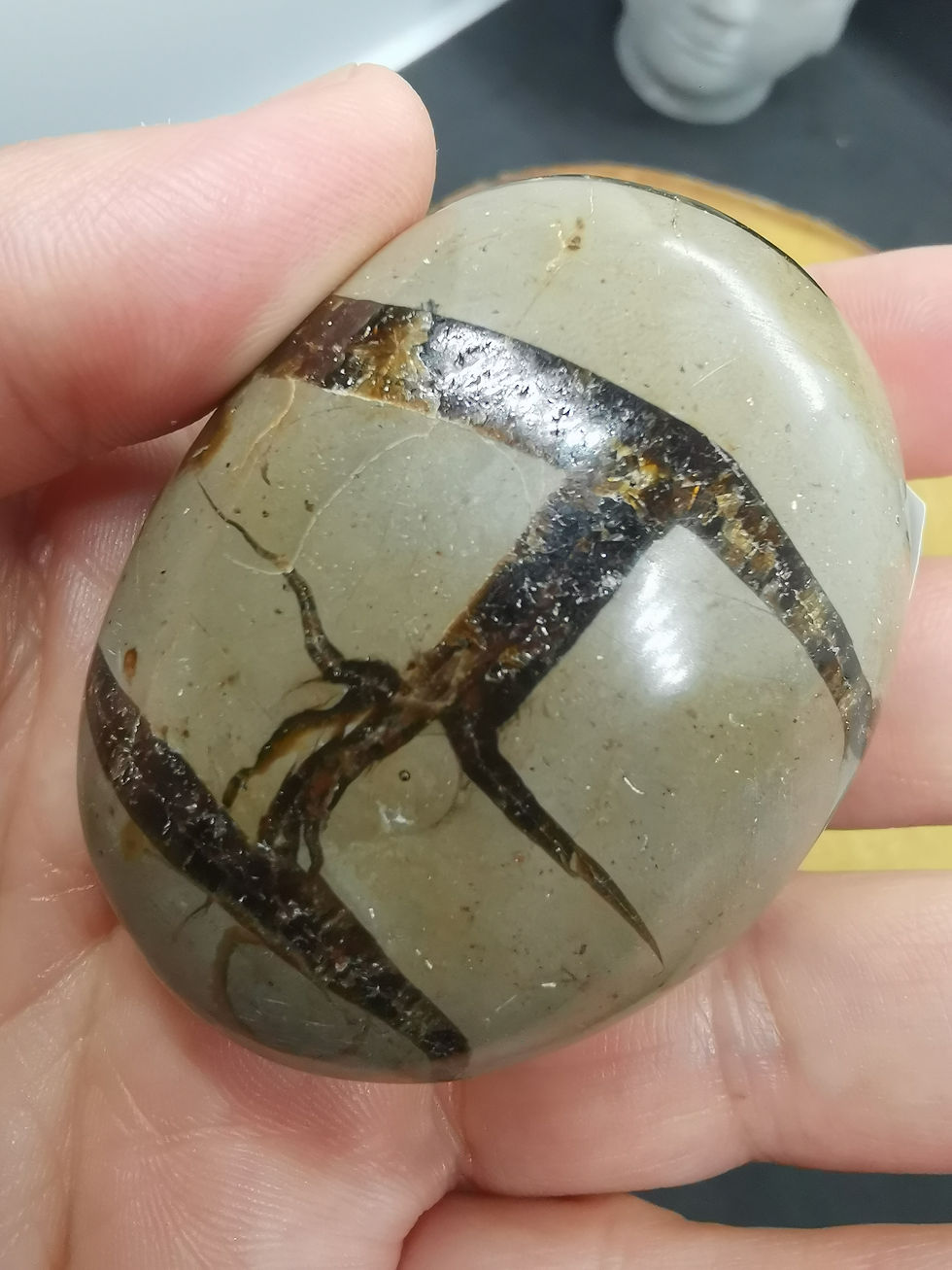 Miniature : Galets Septaria A à 8€
