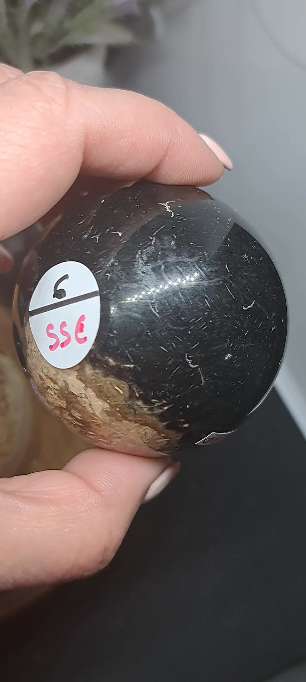 Miniature : Sphères en Racine de Palmier