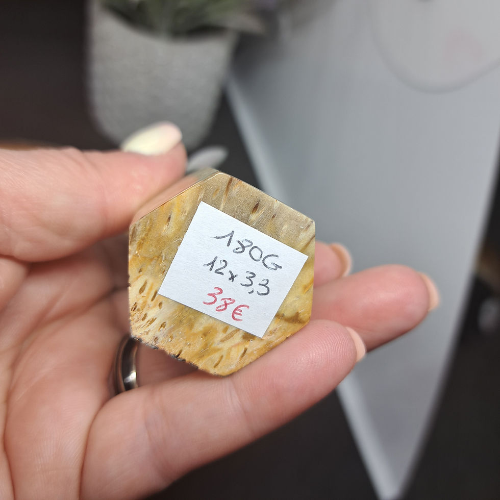 Miniature : Prismes en Racine de Palmier
