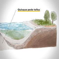 Illustrazione scientifica di un letto di fiume creata da Okam