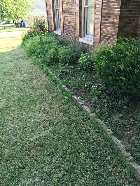flowerbed overhaul1.jpg