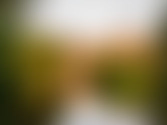 University of Warwick