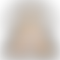 THE LIGHT