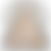 THE EYE