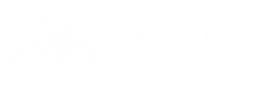 redneck billionaires logo - white