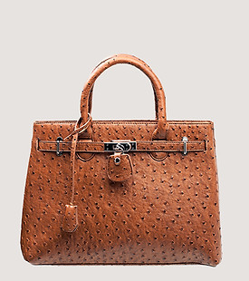 Brown Handtasche