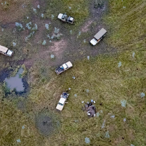 THE WILDERNESS OF HUMAN-WILDLIFE CONFLICT
