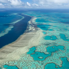 CONSERVING OUR OCEANS - HOW IT'S GOING