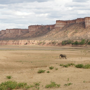 THE HUMBLING OF ZIM: OUR TIME IN GONAREZHOU & THE CHILOJO CLIFFS