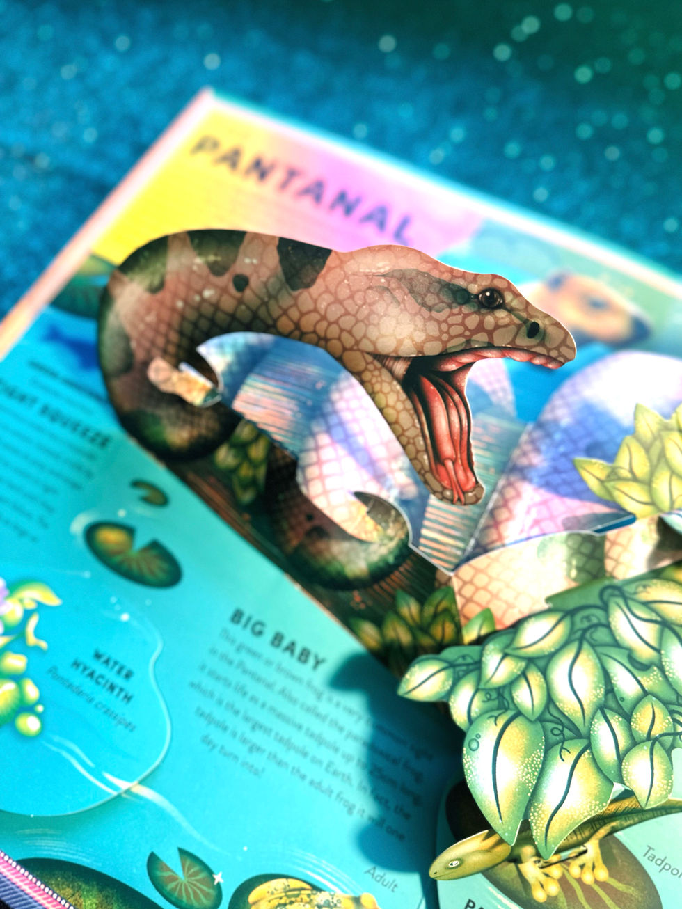 The Incredible Pop-Up FROG spread