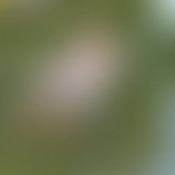 BRAZILLLLLLLLL :DDDDD