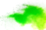 Green background.jpeg