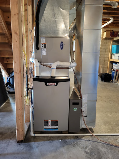 22.3.14 Cindy Olney .jpg