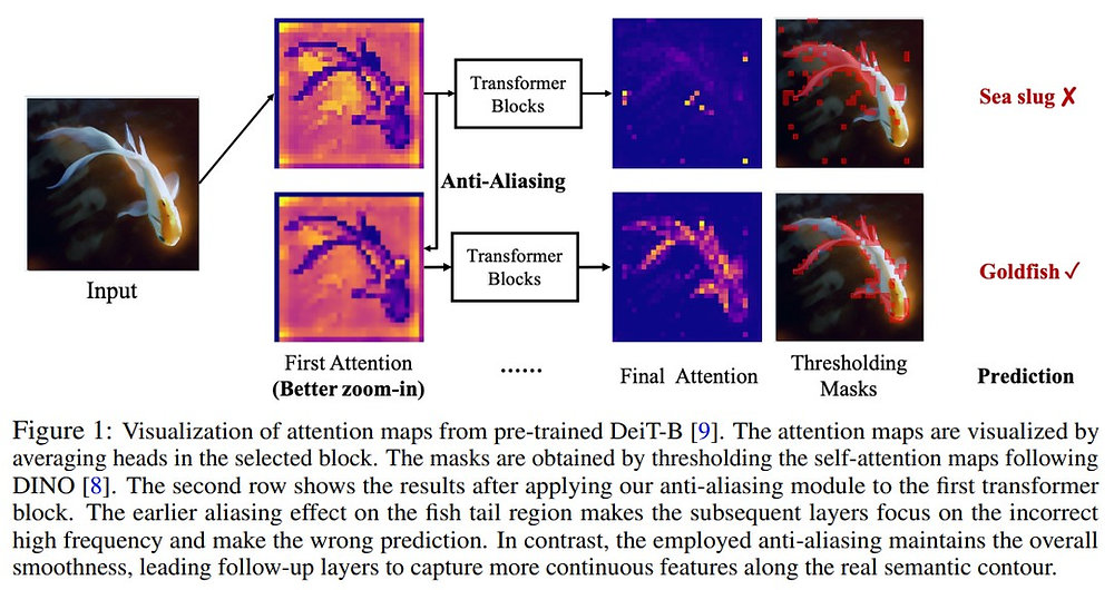 Improve vision transformer by using anti-aliasing