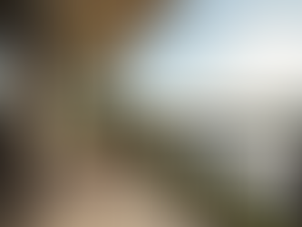 Exploring Month to Month Furnished Condo Rentals at Eagle Pointe: Your Ultimate Guide