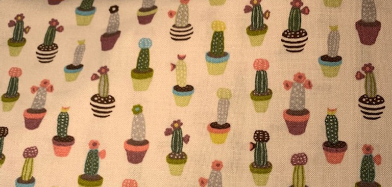 cactus_hérisson.jpg