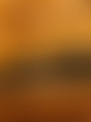 It's all about being Fun-gi