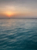 IMG_2166_edited.jpg