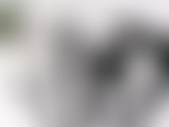 Productos de Peinado por Tipo de Cabello: Guía para Fino, Grueso, Ondulado y Rizado 2026