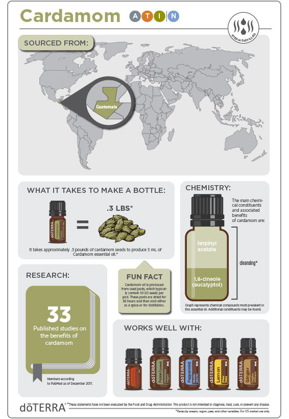 Thumbnail: Cardamom Oil
