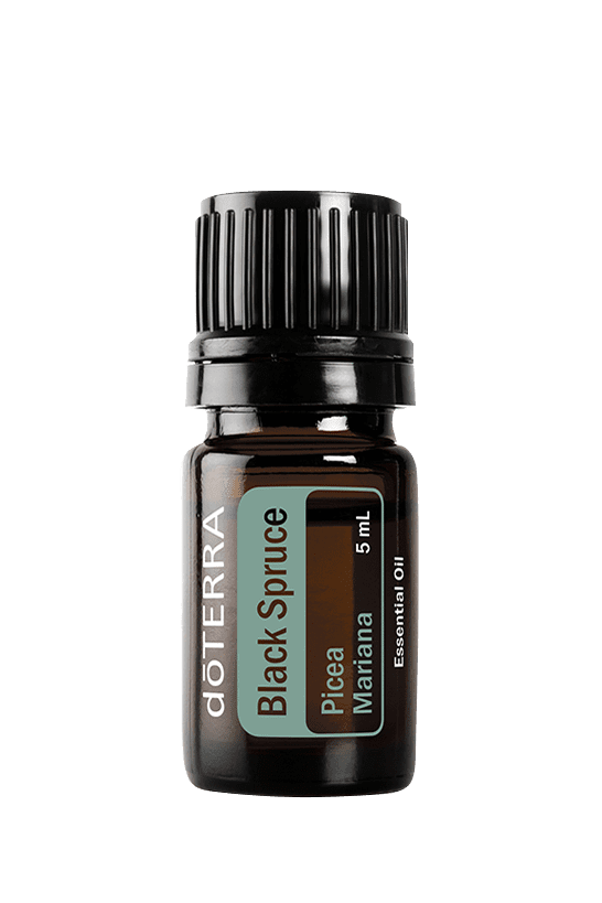 Black Spruce Oil