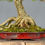 Thumbnail: Bonsai Urapan (Fraxinus Chinensis) Estilo Moyogi sobre Maceta Esmaltada