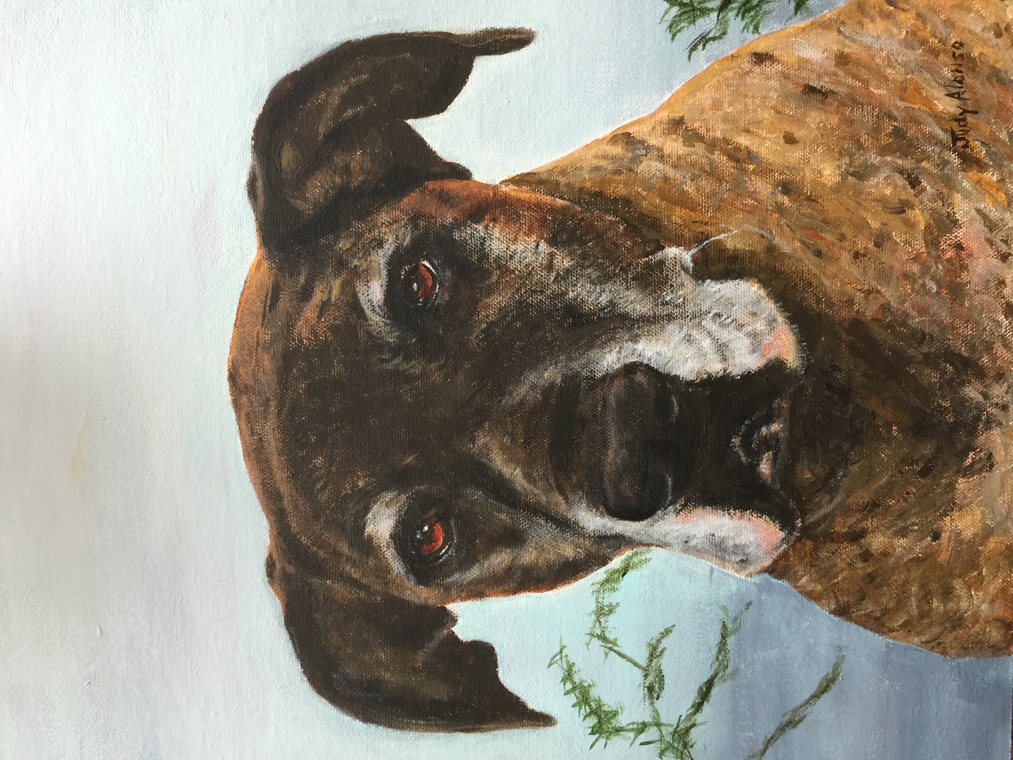Digby