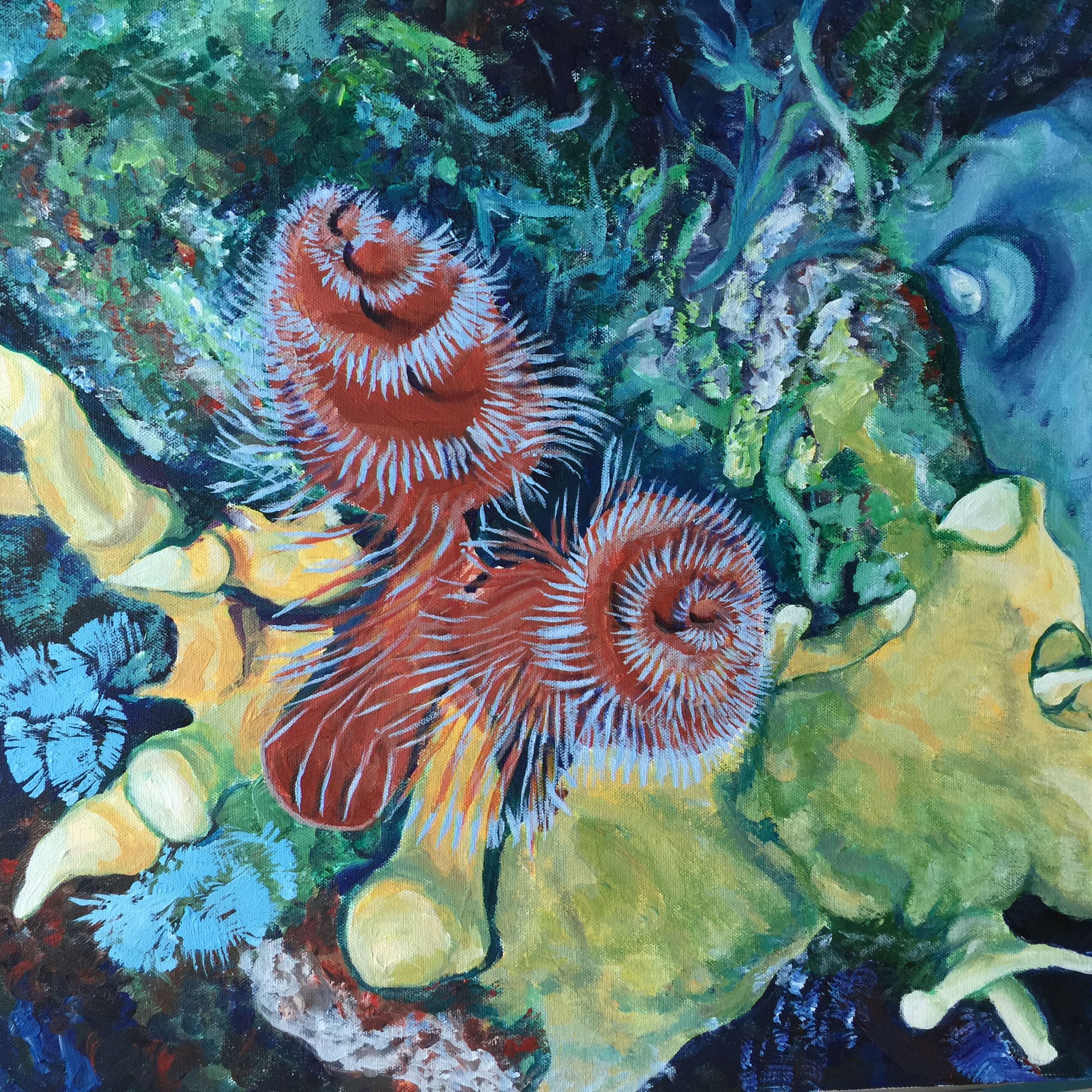 Reef life