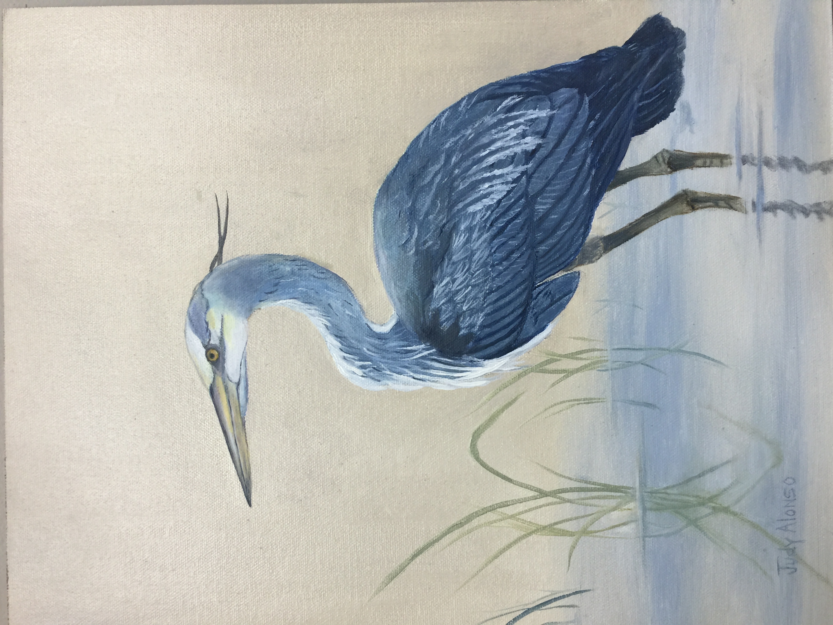 Wading Heron