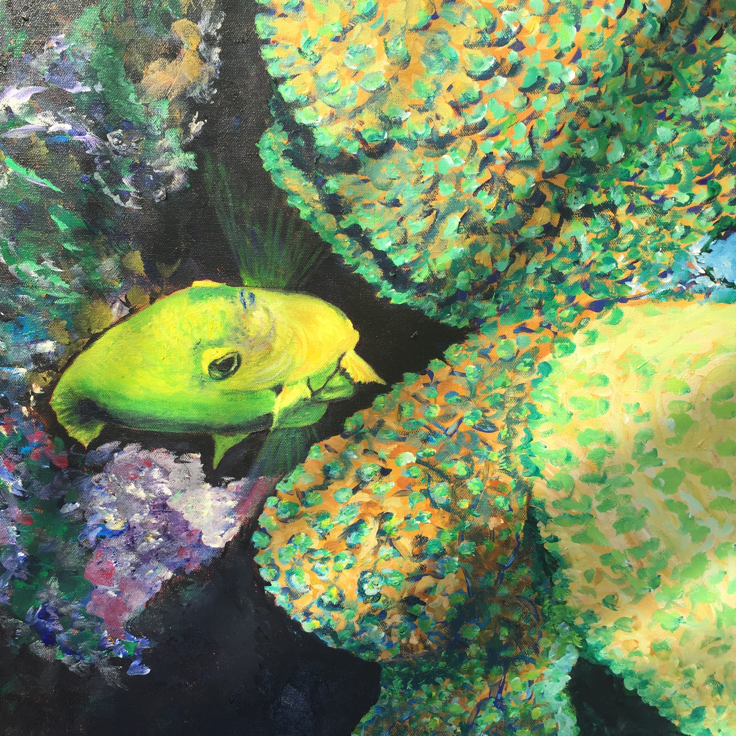 Green Fish