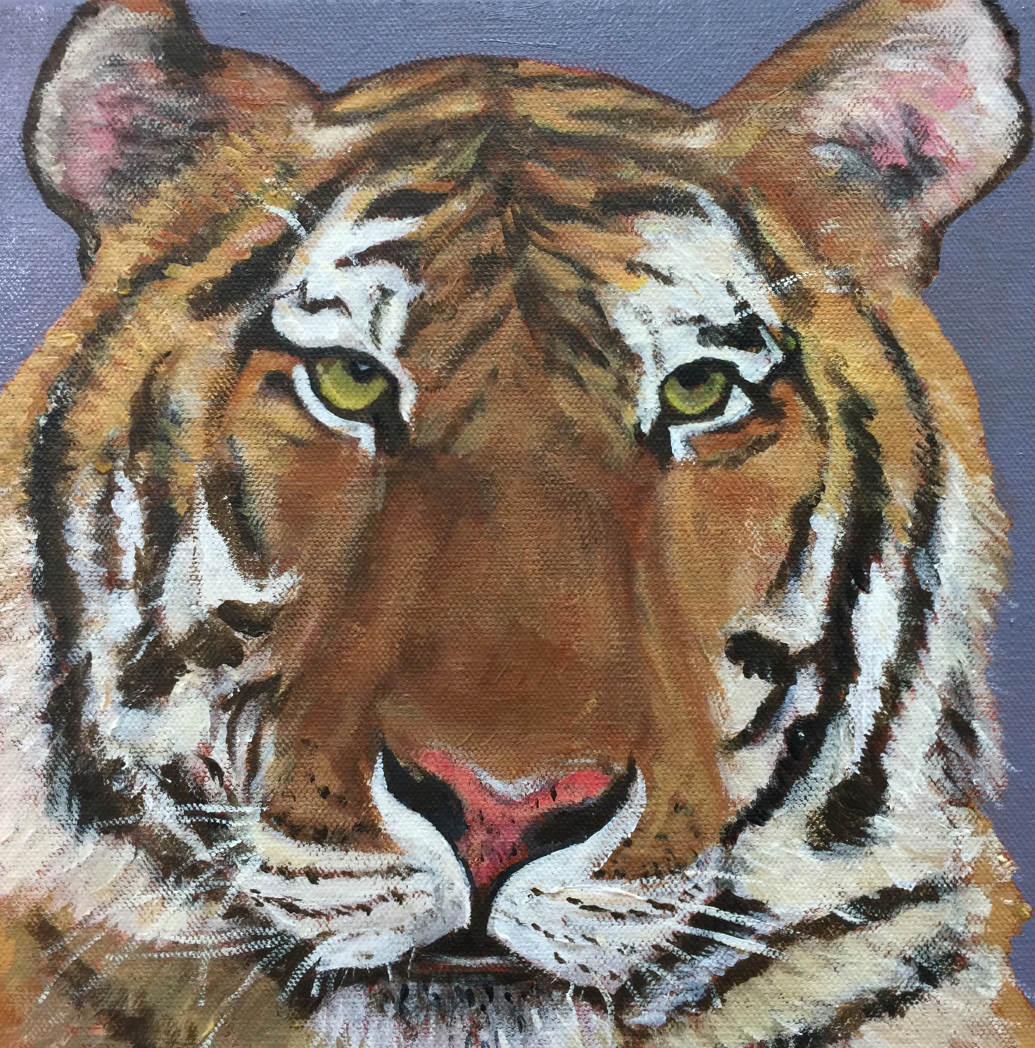 Nice Tiger