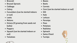 A list of what seeds to plant indoors and what seeds to direct sow in zone 3 Alberta.