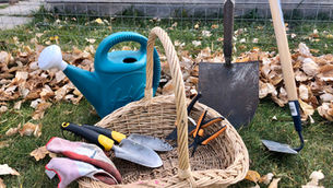 My 10 Favourite Gardening Tools From Amazon